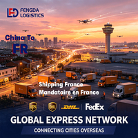 Servicios de Seguimiento, Mensajería Exprés, Agente de Transporte, Almacenamiento, Despacho de Aduanas en el Aeropuerto de Niza, Côte d'Azur, Francia