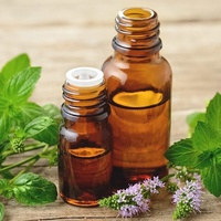 Exportateurs mondiaux : Prix de gros pour l'huile d'ail pure à 99 % (additif alimentaire)