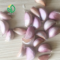 Ail pour transporter au Chili/Ail chinois Boîte de 10 kg au Chili