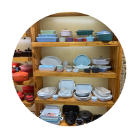 Ensemble de bol en porcelaine bols de service en céramique avec couvercle bol de cuisson pour salade de riz nouilles pâtes avec poignées service de vaisselle de vente en gros