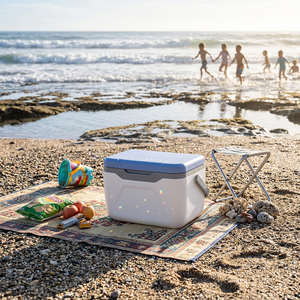 Nevera Portátil Moderna de 5.5L con Capacidad para 6 Latas y Retención de Hielo de 24 Horas para Camping y Pesca - Product Image 1