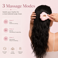 Masseur électrique portatif pour le cuir chevelu, lumière rouge, applicateur d'huile électrique pour cheveux, peigne pour la croissance des cheveux, brosse de soin des cheveux