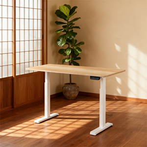 एर्गोनोमिक दोहरी मोटर स्थायी डेस्क ऊंचाई-समायोज्य आधुनिक डिजाइन धातु प्रबलित आयताकार स्तंभ लकड़ी शीर्ष घर कार्यालय अध्ययन - Product Image 3