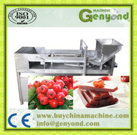 Shanghai Fabriek Automatische Inductie Fruit Roll Up Schrapen Vormen Maken Verwerkingsmachine Fruit Leder Productielijn