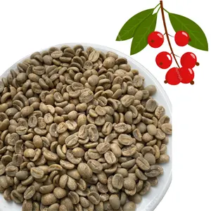 Arabica Green Coffee Beans In Viet Nam Specialty Arabica Catimor Green Coffee Beans Good Price Dry Processing Cau Dat Farm