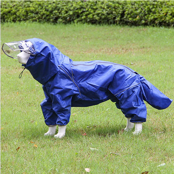 Azul-perro macho