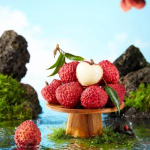 Lychee şurubu üreticisi doğrudan fiyat, yumuşak sakızlı üretim için özel formülü, yüksek stabilite ve çiçeklenme, ücretsiz örnek teklif - Product Image 2