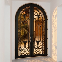 Porte en fer forgé à double arche avec vitrage