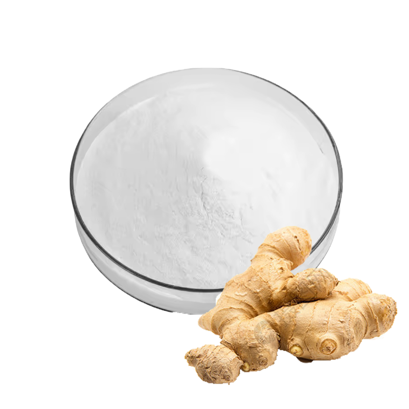 Halal Certificate Artichoke Leaf Extract Powder