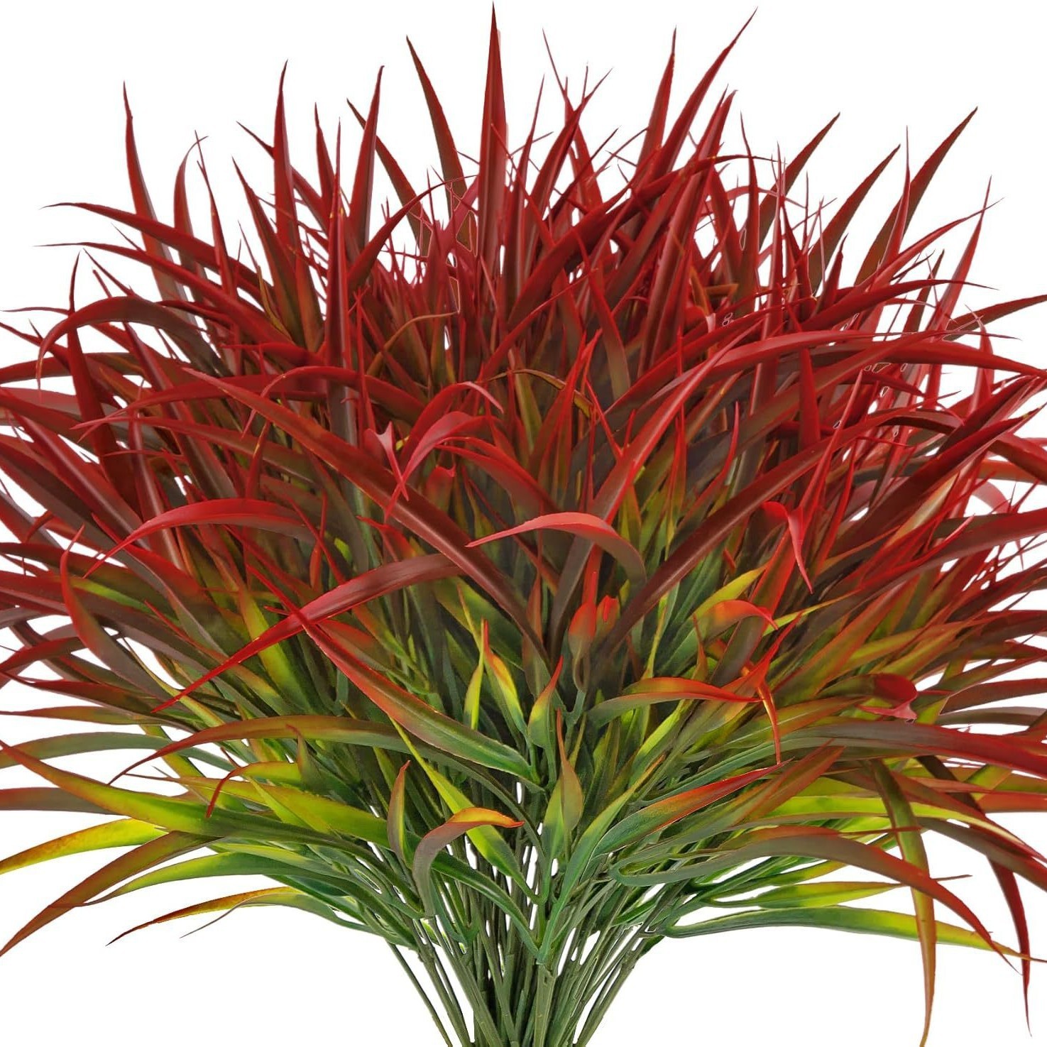 Herbe de printemps à 5 fourches (rouge pulvérisé)