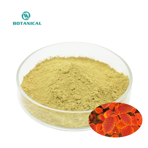 プレミアムフィセチンエキス50% 植物性抗酸化物質 サプリメント＆化粧品供給 プライベートラベル - Product Image 2