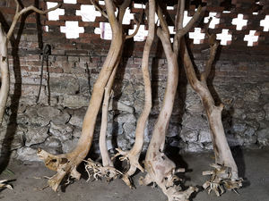 <span class=keywords><strong>Aquarium</strong></span> décoratif en bois de manga, ouvert avec bois naturel, de chine - Product Image 2