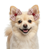Barrettes colorées imprimées pour chien, pinces à cheveux en tissu doux pour animaux de compagnie, petites barrettes pour chiots et chats, accessoires pour photos de fête d'anniversaire