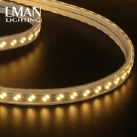 Liste de prix d'usine IP65 étanche 120LEDs/M bandes lumineuses intelligentes extérieures 110V 220V SMD 5730 110V 220V SMD 5730 110V 220V SMD 5730