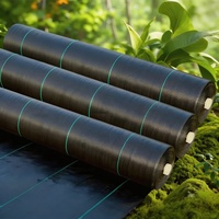 Zwaarwegend geweven PP onkruidwerend doek, UV-bestendig, doorlatend grondbedekkingsdoek voor landbouw, groenteteelt en kassen.