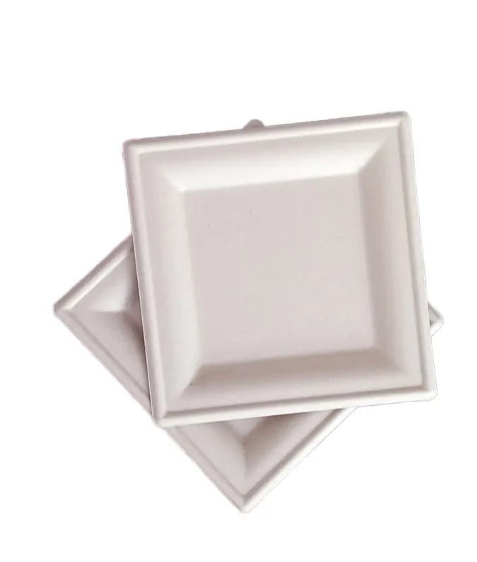 Disposable Dinner Plate Square Plate Paper Wholesale Barbecue Picnic Handmade Painting Tray 6 Inch Bagasse Party Choice