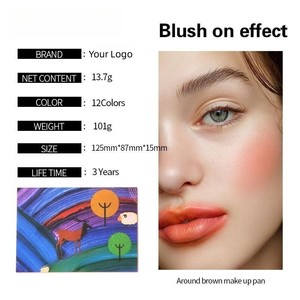 Meilleure vente Palette de poudre d'ombre à paupières mate et chatoyante hautement pigmentée sans cruauté aux yeux, 12 couleurs - Product Image 6