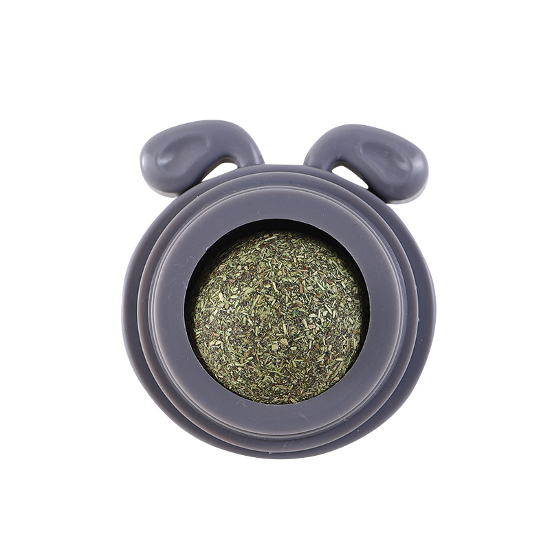 dog gray