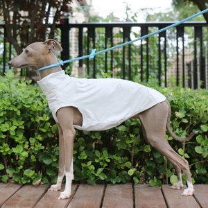 Gilet de protection solaire estival pour chien de type Greyhound <span class=keywords><strong>italien</strong></span> et Whippet, en polyester moderne, avec capuche, anti-salissures, pour les sorties et Halloween - Product Image 4