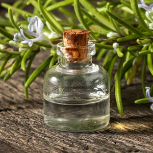 Atacado Orgânico Natural Rosemary Óleo Essencial Nutritivo Corpo Crescimento Do Cabelo Cuidados Com A Pele Amostra Grátis Pure Essential <span class=keywords><strong>Oil</strong></span> <span class=keywords><strong>Price</strong></span> - Product Image 2