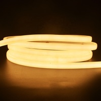Tube de néon en silicone à extrusion en vue de dessus LIGHTING, tube de néon LED en silicone de 3 mm, 480 LED, bandes flexibles COB, lumière néon flexible en silicone