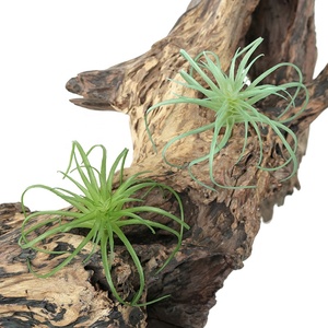 <span class=keywords><strong>Vendita</strong></span> della fabbrica di plastica succulenta falso Tillandsia <span class=keywords><strong>piante</strong></span> artificiali per la decorazione della casa - Product Image 6