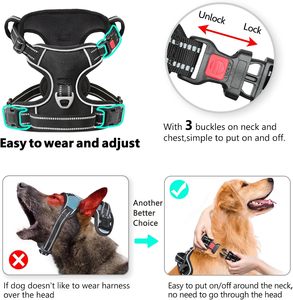 Custom Eco-Friendly Polyester Print <b>Dog</b> Accessories 7in1 Fashion Collar Harness and Leash Set for Four Seasons - Product Image 3