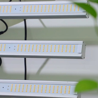 2025 Les meilleures ventes 600w 800w 1000w Lm301b Spider Led élèvent la lumière