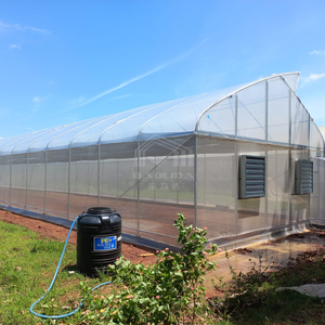 Tropical Tunnel <strong>Plastic</strong> <strong>Greenhouse</strong> With Roof Vents - Product Image 6