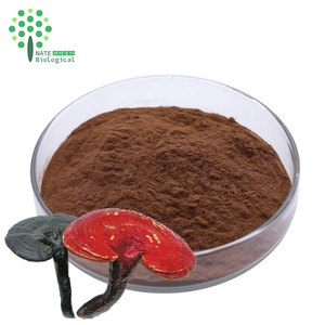 유기농 레이시 버섯 추출물 분말 이중 추출물 레이시 베타 굴칸 - Product Image 4