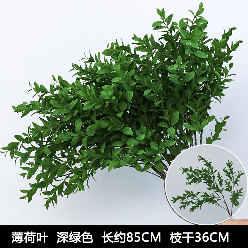 Mint leaf