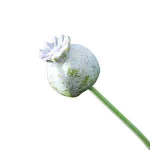 <span class=keywords><strong>Fleurs</strong></span> <span class=keywords><strong>de</strong></span> pavot artificielles en mousse, fruits <span class=keywords><strong>de</strong></span> pavot simulés, branche <span class=keywords><strong>de</strong></span> fruits <span class=keywords><strong>de</strong></span> pavot, <span class=keywords><strong>bouquet</strong></span> <span class=keywords><strong>de</strong></span> fruits <span class=keywords><strong>de</strong></span> pavot séchés d'<span class=keywords><strong>automne</strong></span> - Product Image 3