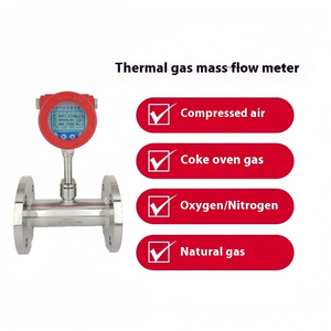 Débitmètre massique intelligent Festop en acier inoxydable pour gaz chaud, type à bride OEM, précision +/-1,5 % pour air comprimé et oxygène - Product Image 5