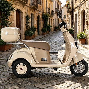 Nouveau tricycle électrique élégant à longue autonomie, idéal pour les courses des mamans et des personnes âgées - Product Image 6