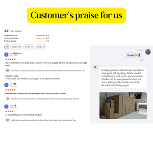 Vassoio Rotondo Personalizzato con 5 Scomparti in PET per Feste, per Frutta e Verdura, Grande Vassoio con Coperchio per Catering - Product Image 5