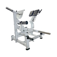 Precio de Fábrica: Máquina Comercial de Gimnasio con Carga de Discos, Doble Extensión de Cadera a 45 Grados, Máquina de Hiperextensión para Glúteos