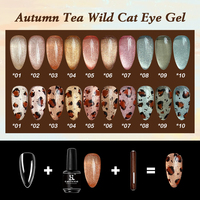 Gel pour ongles HS Autumn Tea Wild Cat Eye, 10 couleurs, 15 ml, sans HEMA, effet soak-off, UV LED, personnalisation de l'emballage pour salon de manucure
