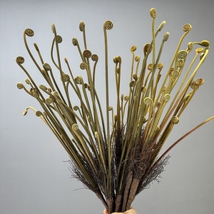 LE-288 Branche de fougère artificielle, plante de fougère sauvage artificielle pour la décoration intérieure et les matériaux d'arrangement floral DIY - Product Image 1