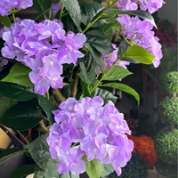 Arbres à fleurs d'hortensia artificiels, plantes en pot artificielles pour la décoration intérieure et extérieure de la maison et du jardin