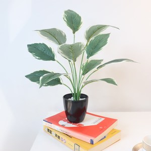 <span class=keywords><strong>Petit</strong></span> <span class=keywords><strong>Bananier</strong></span> Artificiel - Faux <span class=keywords><strong>Bananier</strong></span> du Voyageur avec de Grandes Feuilles pour la Décoration Intérieure - Product Image 1