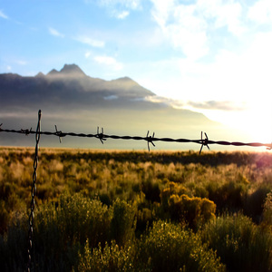 ลวดหนามเคลือบพีวีซีคุณภาพสูง ได้รับการรับรองมาตรฐาน ISO9001 ความยาว 100-500 เมตร สำหรับใช้ป้องกันในประเทศแอลจีเรีย - Product Image 3