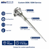 C-Type WRe Thermocouple with IP65 Aluminum Head 0-1890 deg C High Temp Probe BSYB Brand