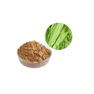 B.C.I Supply Extrait de <span class=keywords><strong>laitue</strong></span> <span class=keywords><strong>sauvage</strong></span> avec poudre d'extrait de lactucine/Lactuca Sativa - Product Image 3
