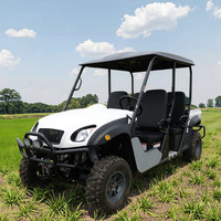 Lvcci Meilleur côte à côte 4 places Dune Buggy essence électrique Transmission automatique Type certifié CEE