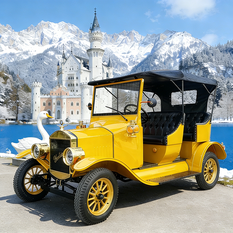 Manufacture 14 Seats Electric Amusement Park