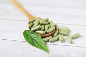 Bai Dahurica özü doğal bitki özü Bai Zhi kökleri gıda kullanımı için - Product Image 6