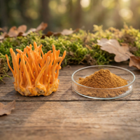 Fabrieksleverancier van biologisch gezond product Cordyceps Militaris extract, fruitlichaam champignonpoeder