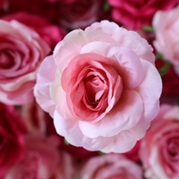 Einfach zu Installierende 3D 5D Künstliche Seiden-Blumenwand Aufrollbare Kulisse für Hochzeitsempfang Heim-Party Hintergrund-Dekoration