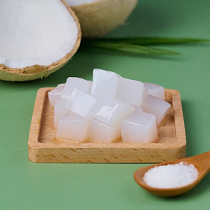 Nata de Coco a Precio Competitivo, Gelatina de Coco de Vietnam, Proveedor Mayorista para Importadores, Fabricantes de Alimentos y Distribuidores - Product Image 1