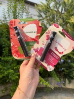 Miruike – Nouvel inhalateur aromatique sans fumée, alternative au tabac, 10 saveurs, à usage unique